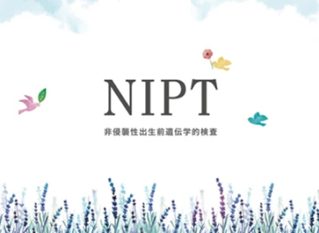 NIPT説明書のイメージ画像